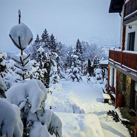 Alpina Panoramic Hotel Moisei Buitenkant foto