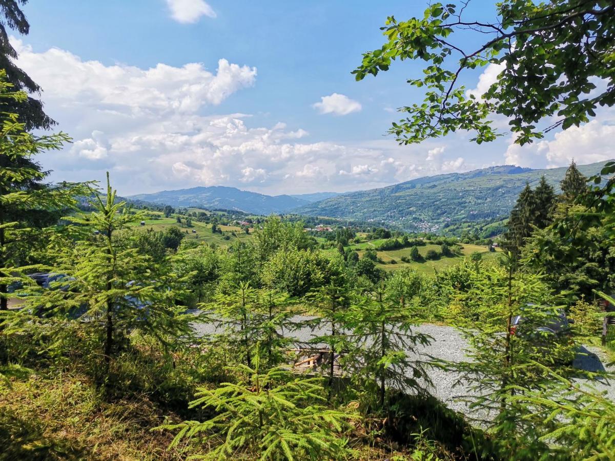 Alpina Panoramic Hotel Moisei Buitenkant foto
