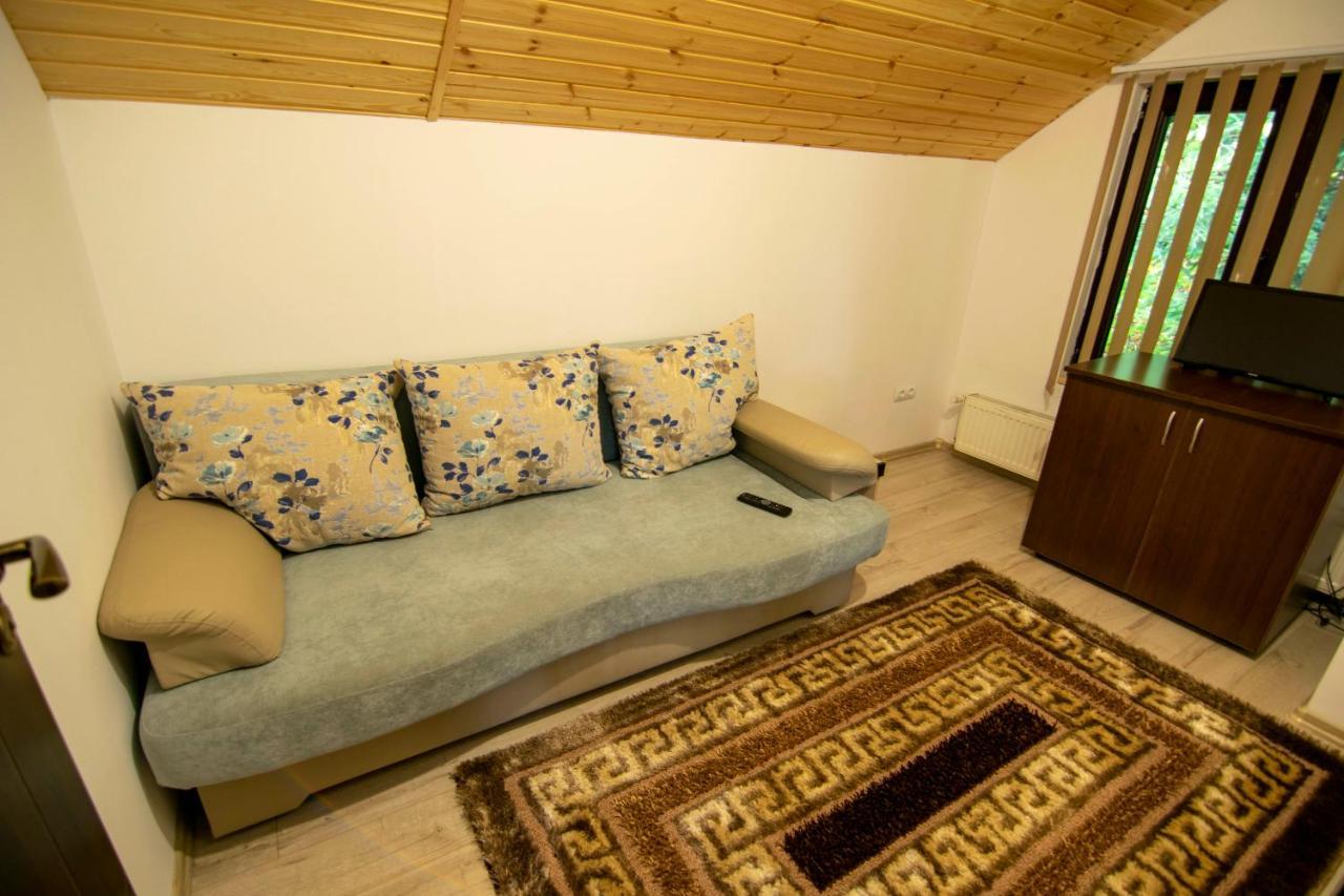 Alpina Panoramic Hotel Moisei Buitenkant foto
