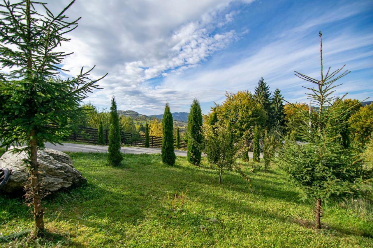 Alpina Panoramic Hotel Moisei Buitenkant foto