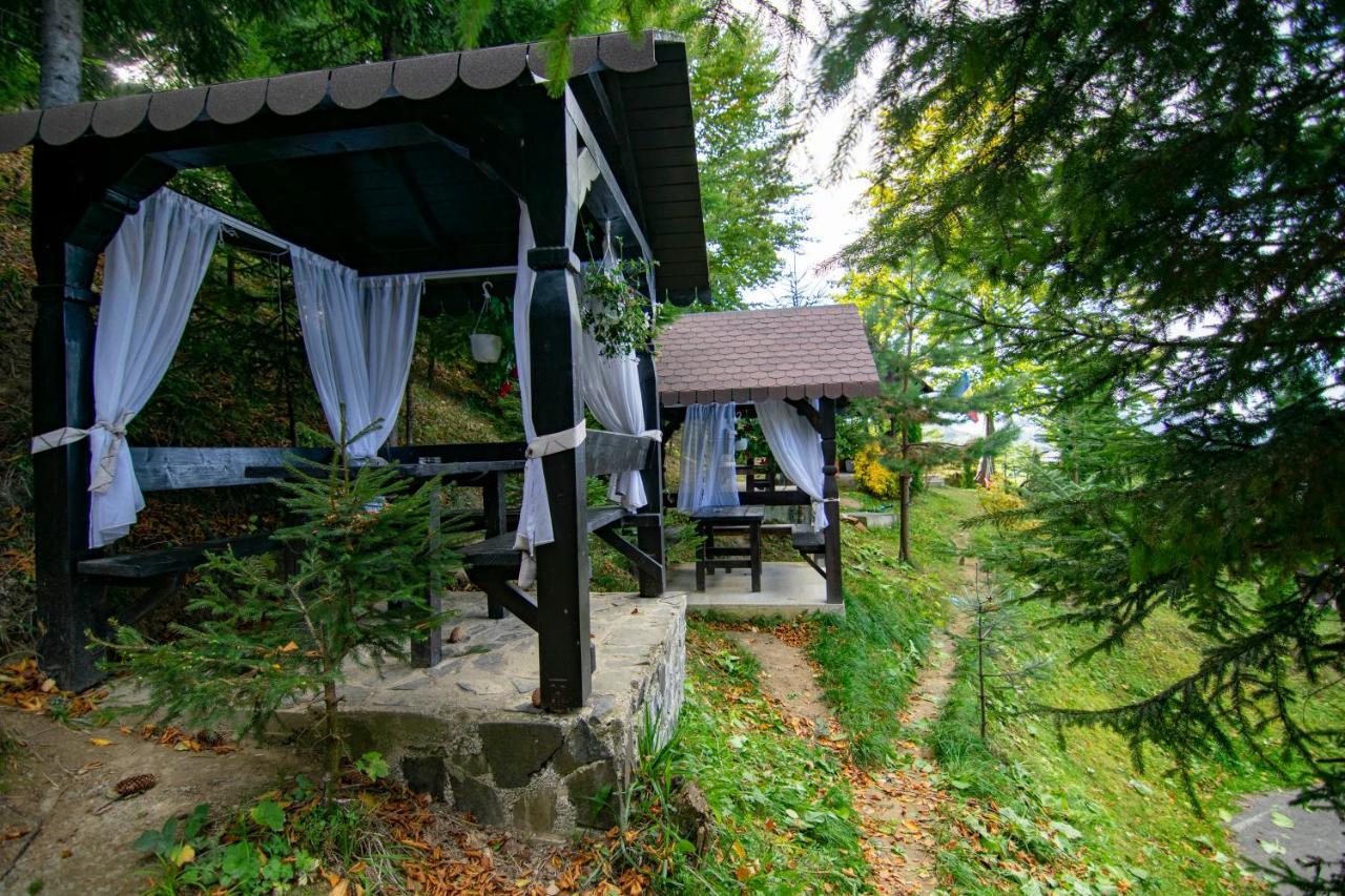 Alpina Panoramic Hotel Moisei Buitenkant foto