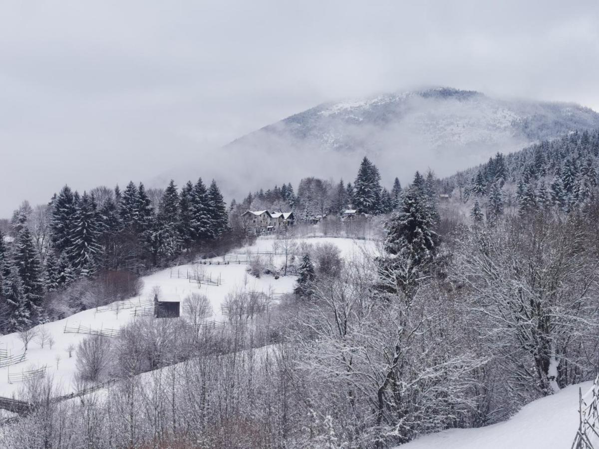 Alpina Panoramic Hotel Moisei Buitenkant foto