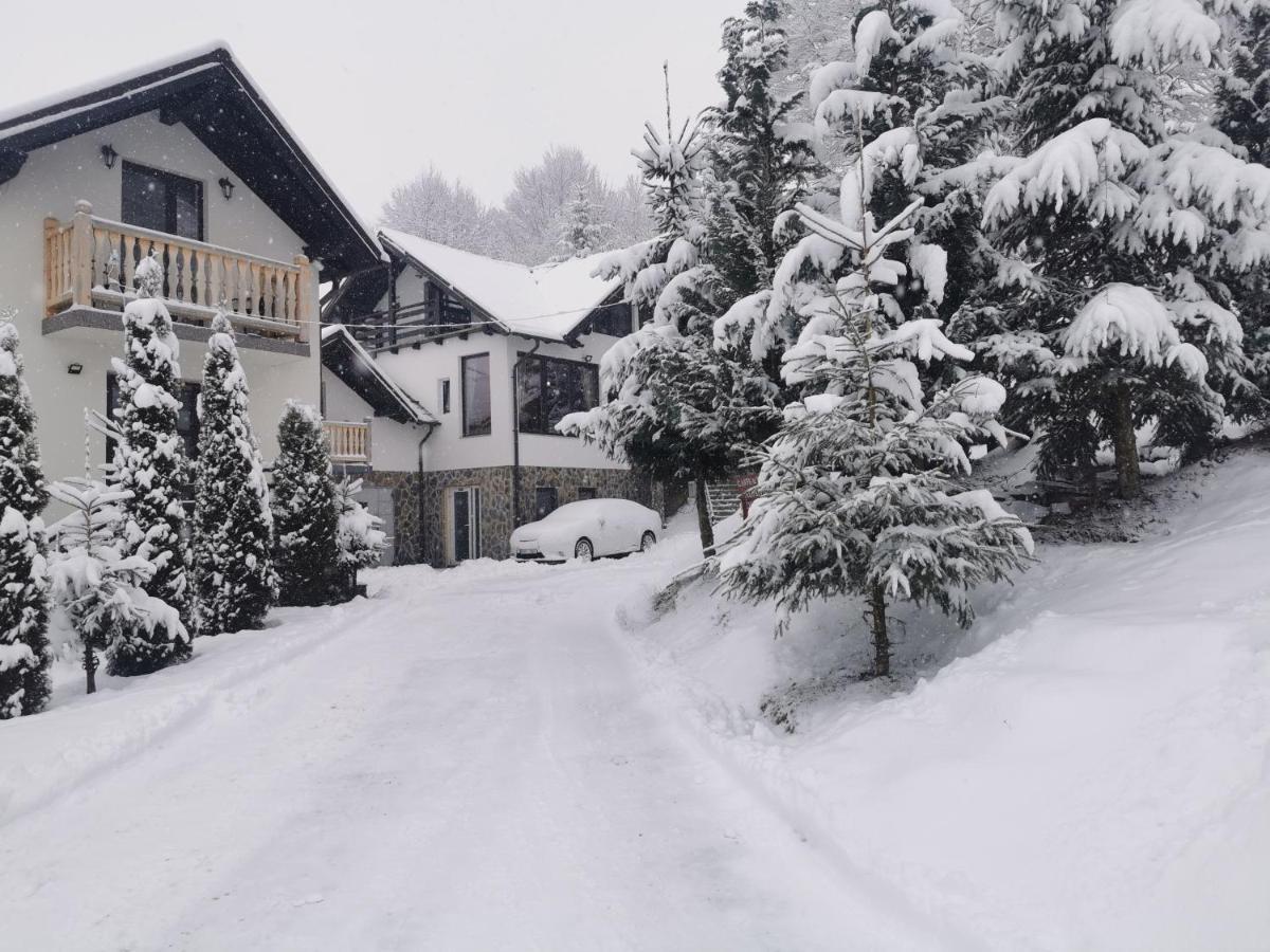 Alpina Panoramic Hotel Moisei Buitenkant foto