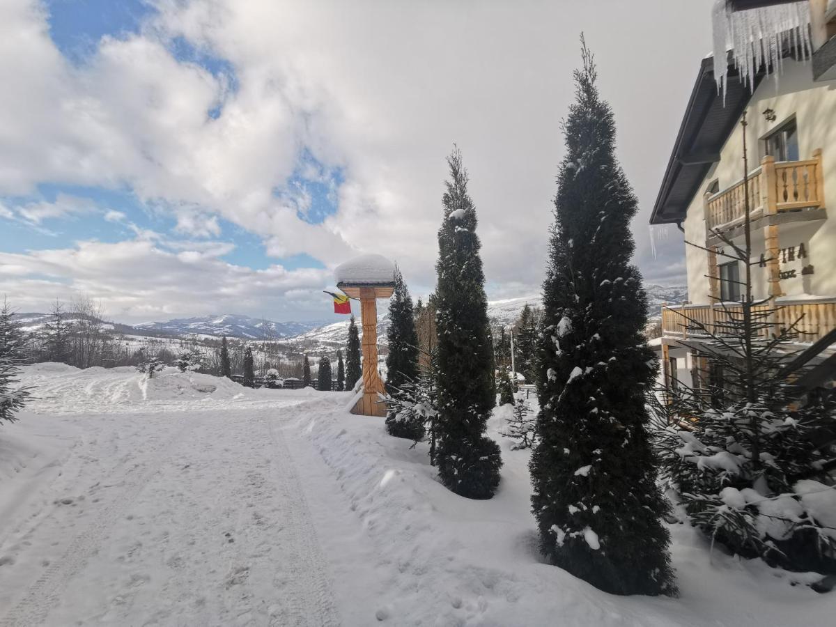Alpina Panoramic Hotel Moisei Buitenkant foto
