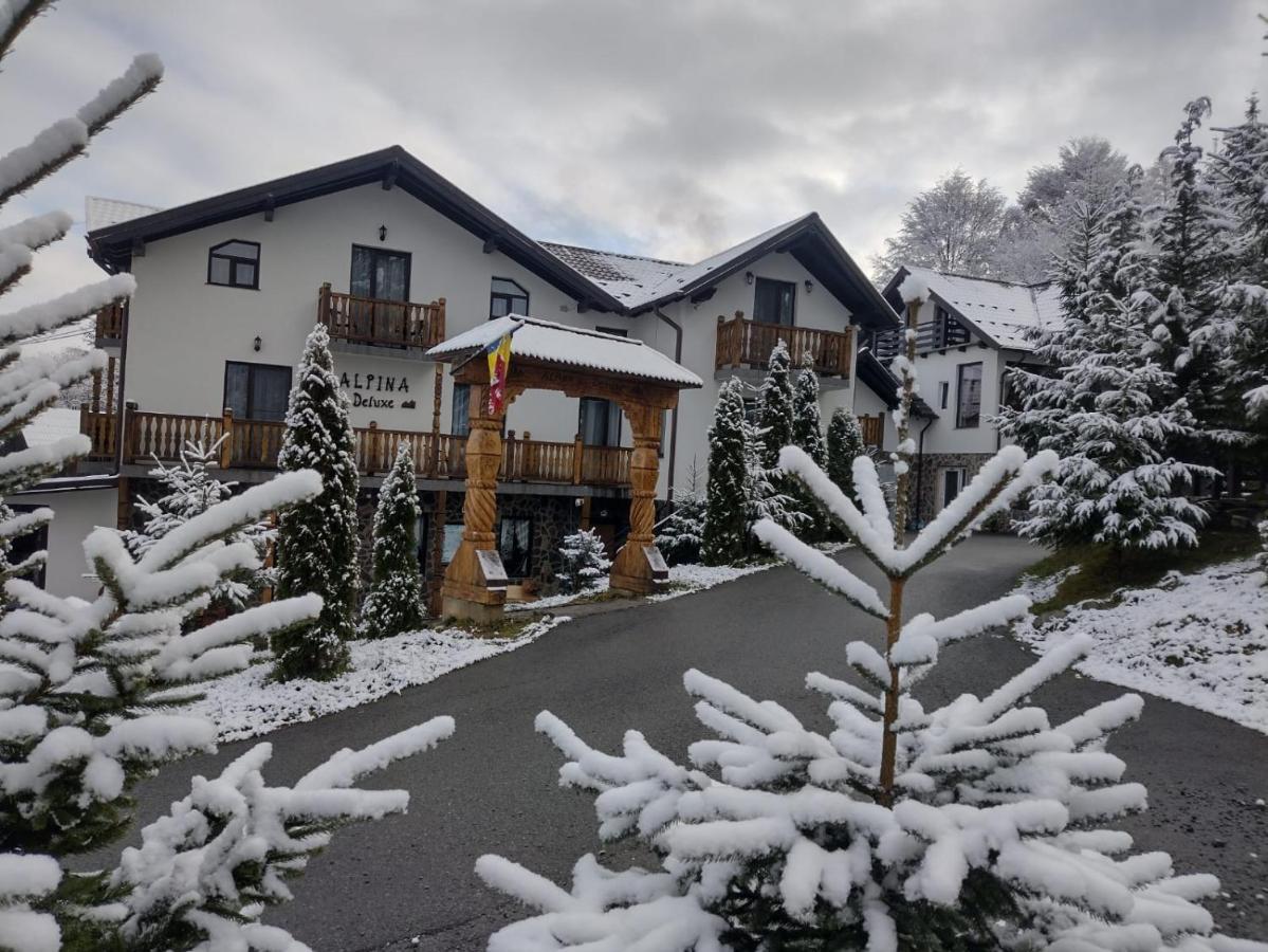 Alpina Panoramic Hotel Moisei Buitenkant foto
