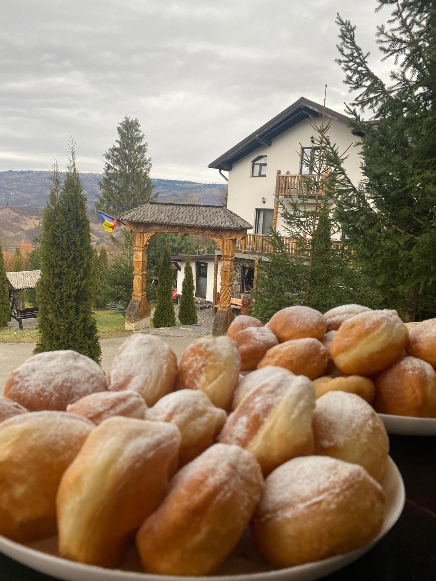 Alpina Panoramic Hotel Moisei Buitenkant foto