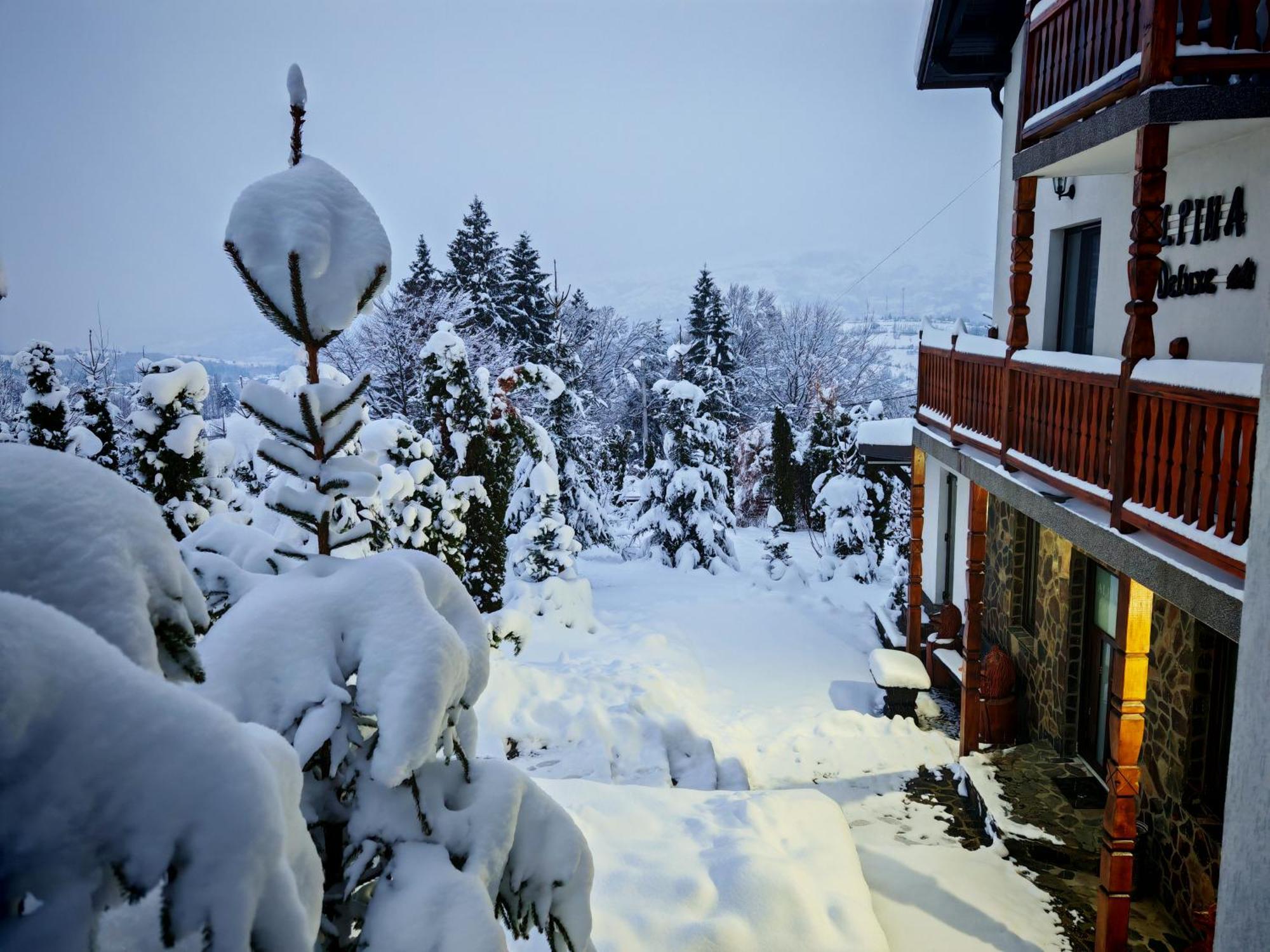Alpina Panoramic Hotel Moisei Buitenkant foto