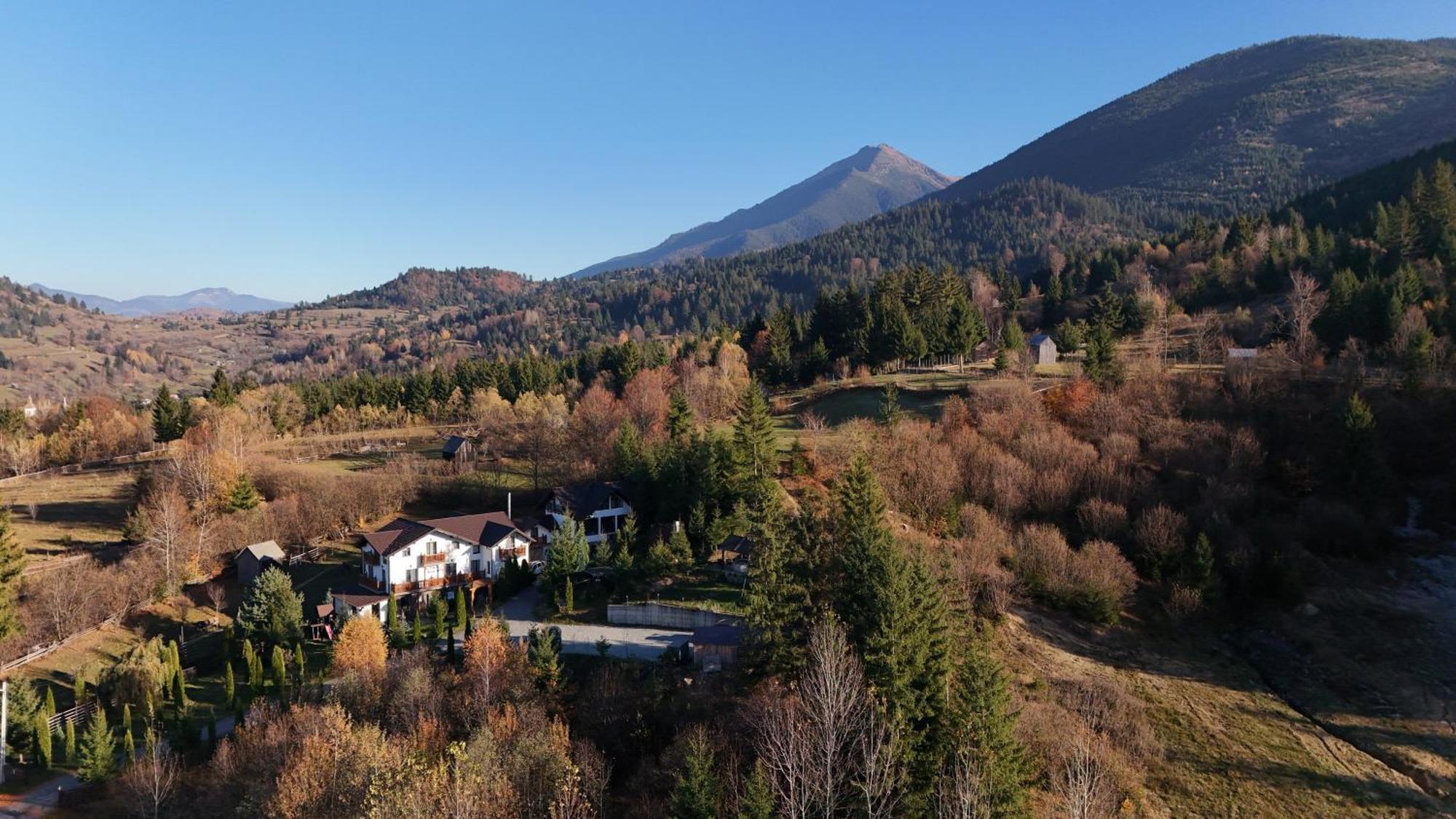 Alpina Panoramic Hotel Moisei Buitenkant foto