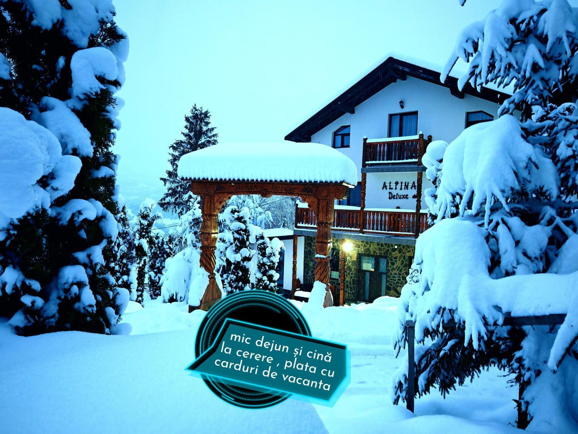 Alpina Panoramic Hotel Moisei Buitenkant foto