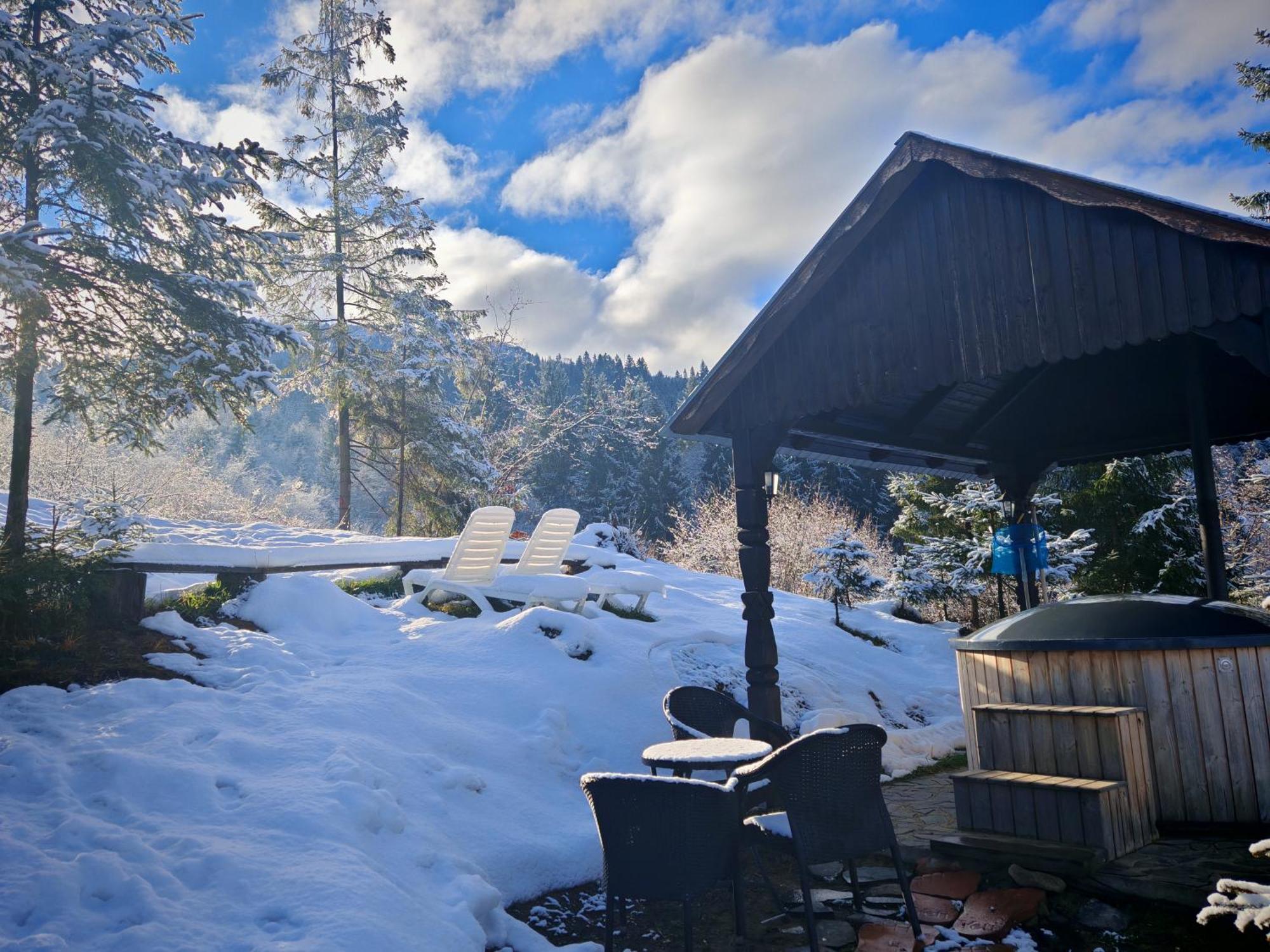 Alpina Panoramic Hotel Moisei Buitenkant foto