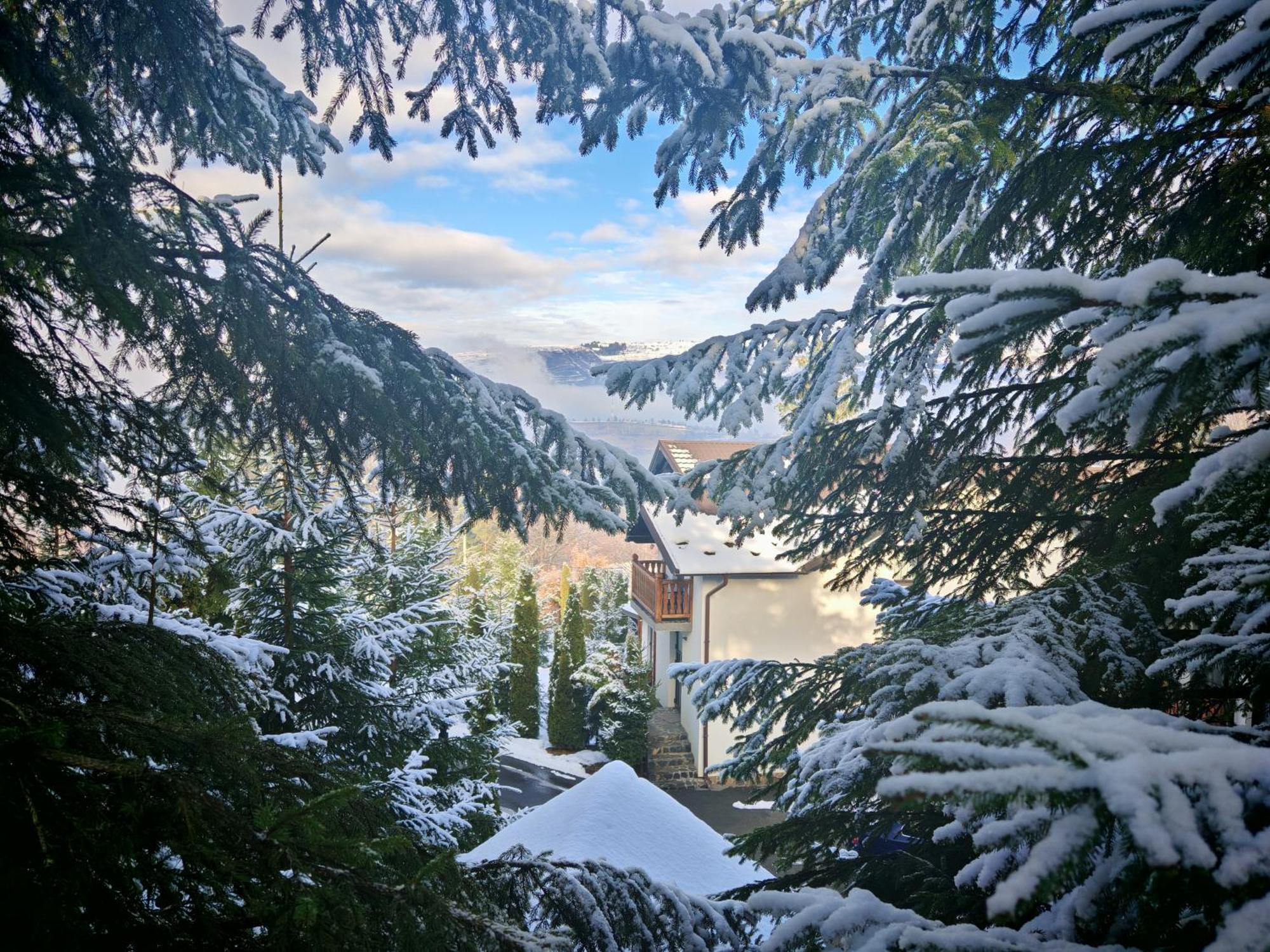 Alpina Panoramic Hotel Moisei Buitenkant foto