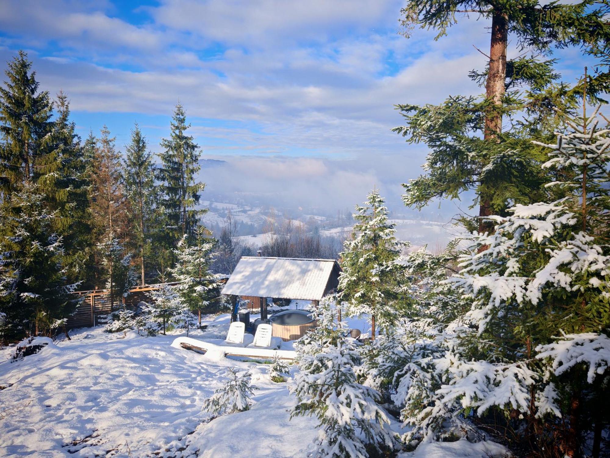 Alpina Panoramic Hotel Moisei Buitenkant foto