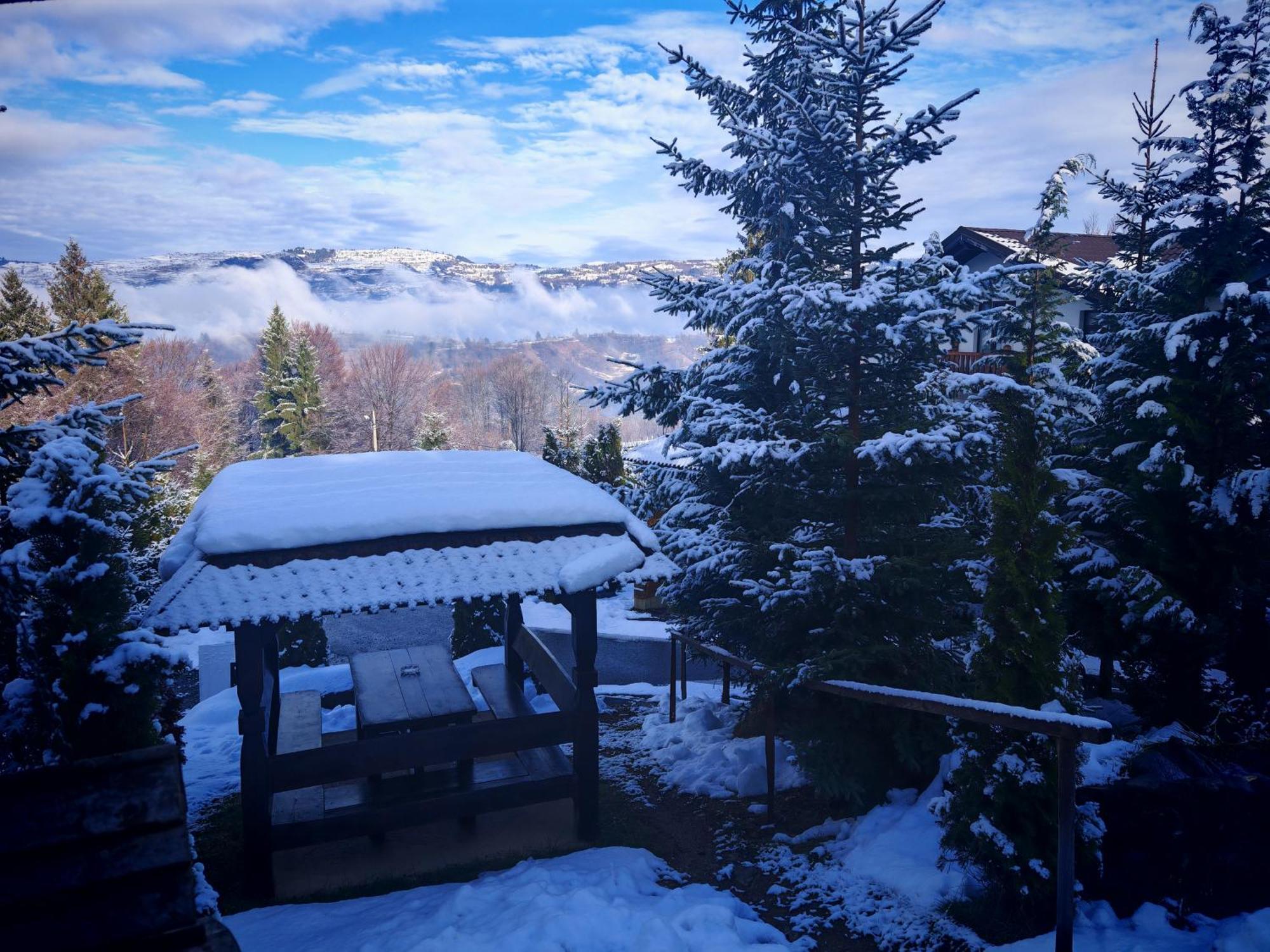 Alpina Panoramic Hotel Moisei Buitenkant foto
